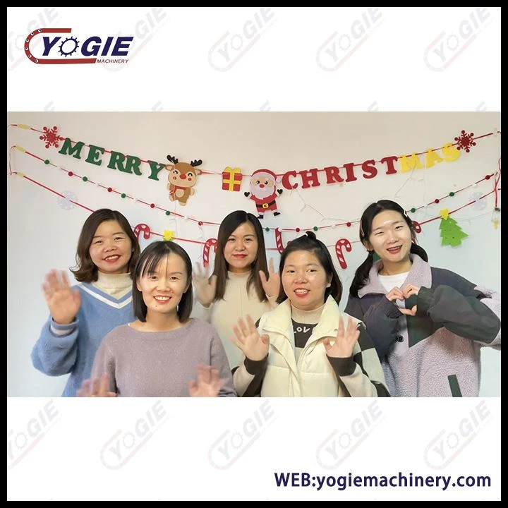 Yogie merry christmas