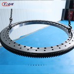 China Manufacturer offer Slewing Ring Bearing with High Precision