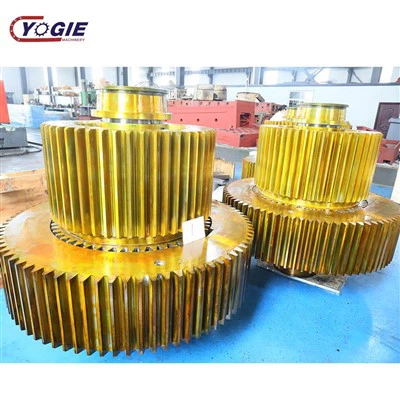 Gear And Shaft Assembly