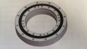 SHG(SHF)Series Harmonic Drive Bearing
