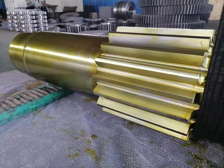 Spur Gear Shaft