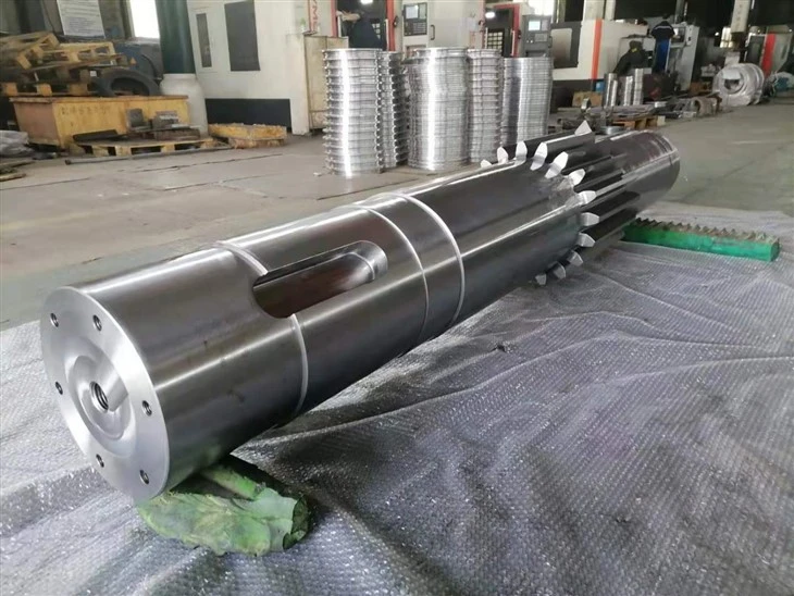 Spur Gear Shaft