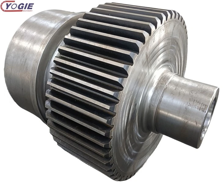 Spur Gear Shaft
