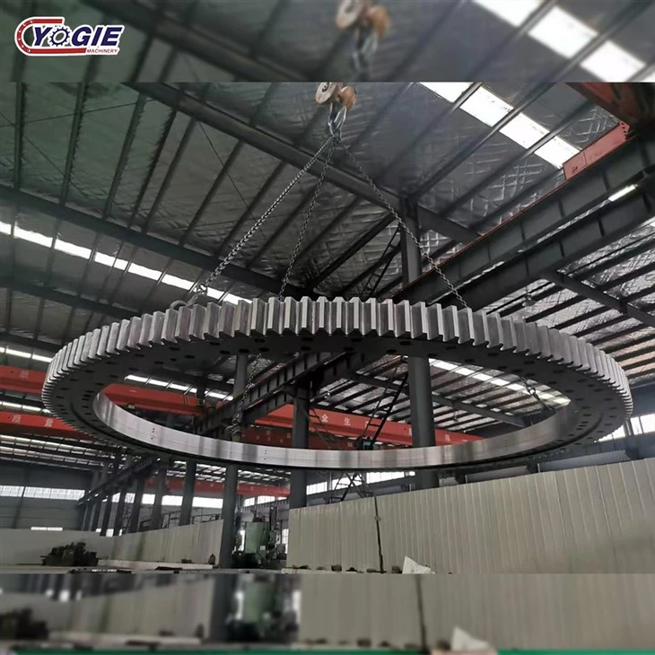 China Manufacturer offer Slewing Ring Bearing with High Precision high quality